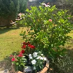 Willa Sorina Kefalonia