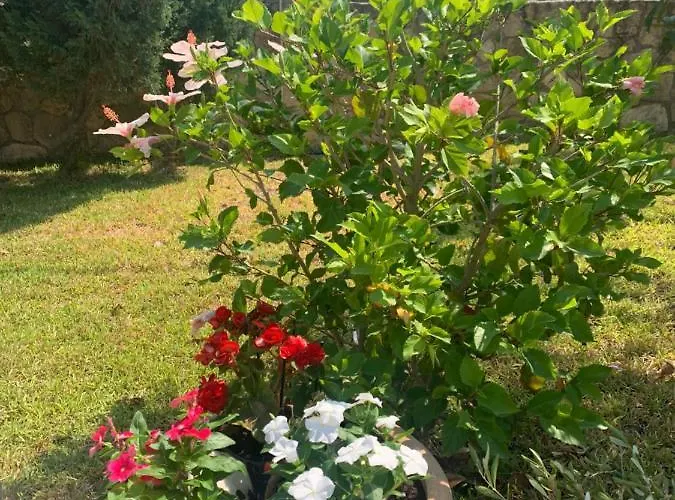 Villa Sorina Kefalonia